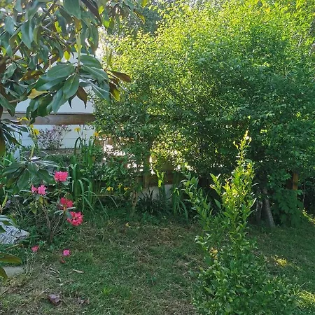 Azkendantza Capacité 2 à 4 Pers Ou 5 à 6 Pers Supplément Caravane Insolite *